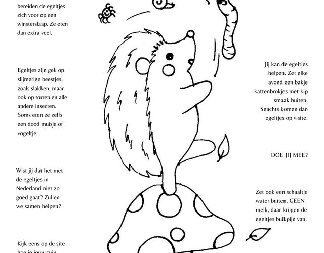 Creatieve Egelvriendjes egel tekening kleurplaat egels paddenstoel kleuren voorbeeld weetjes