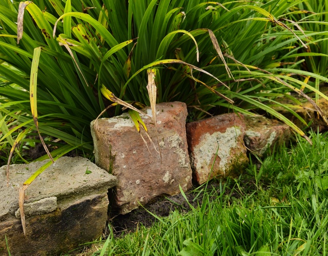 tuin doarpstun hallum gras planten groen stenen