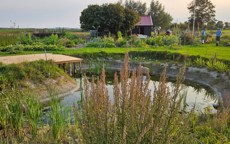 Vijver doarpstún tuin dorpstuin groente fruit verbinding samenleving