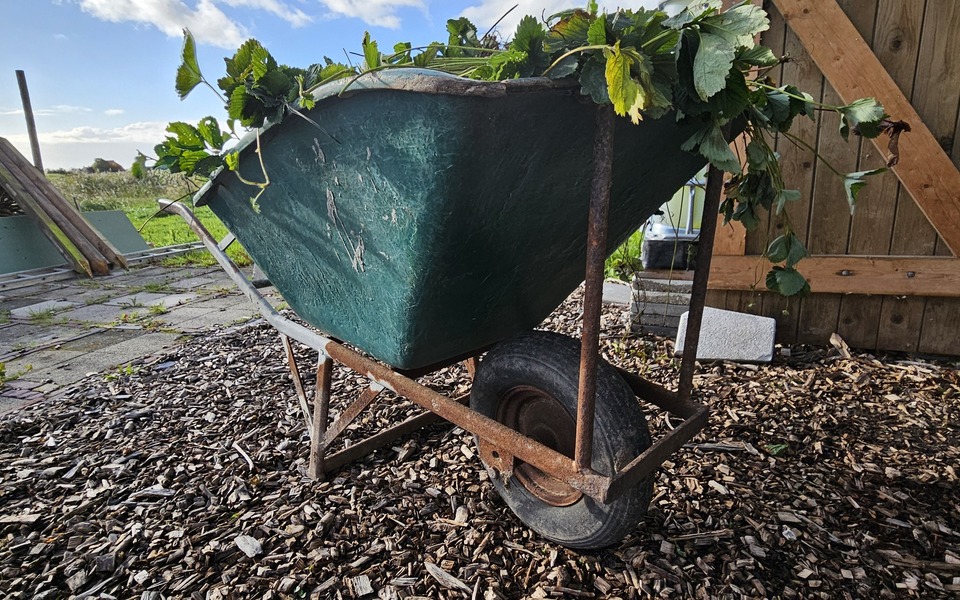 doarpstún tuin dorpstuin groente fruit verbinding samenleving kruiwagen groen 