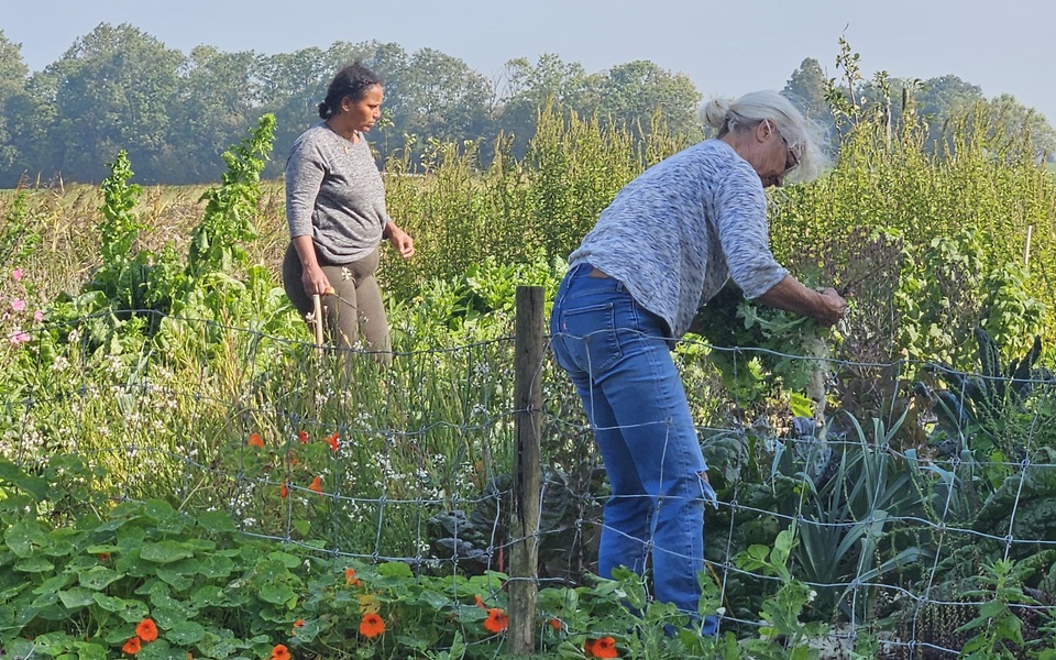 Ús griene ferbining, mei en foar elkoar, bijdragen aan onderlinge verbinding door ontmoeting en het bevorderen van een gezond en duurzaam leefklimaat.