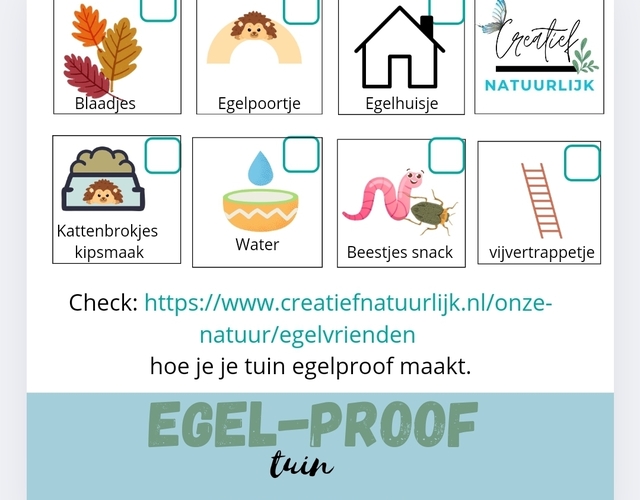 Creatieve Egelvriendjes egel tekening kleurplaat egels bloem kleuren voorbeeld opdrachten tips